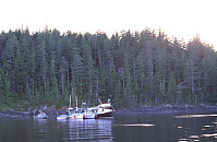 Raft in Harbour