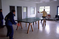 Playing Ping Pong