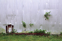 Trees Growing out of the Walls - Warehouse in Namu