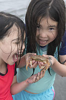 Pretend Eating Crabs