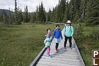 Walking On Alpine Boardwalk