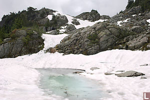 Small Alpine Water Hole