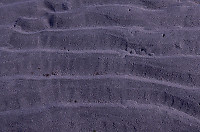 Sand on Beach