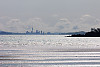 Auckland Skyline From Beach