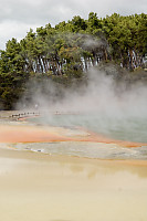 Orange Pool