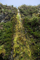 Waterfall Over Moss