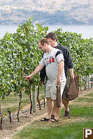 Eric And Jer Looking At Grapes