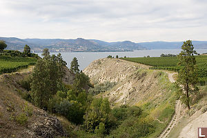 Orchards Down To Lake