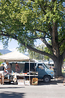 Van Under Tree