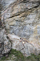 Kids Sitting On Rock Face