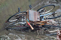 Kingfisher On Discarded Bikes