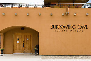 Burrowing Owl Building