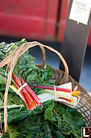 Swiss Chard