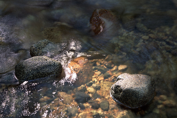 mainimage