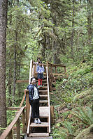 Walking On Boardwalk In Forest