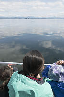 Watching Orca From The Boat