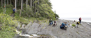 Beach Pano 2