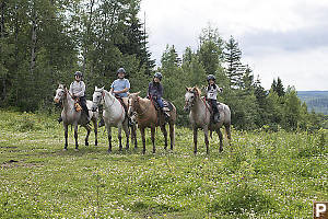Family On Horses