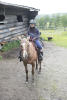 Nara Back At Barn