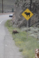 Handy Sign Explaining Wildlife