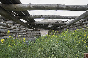 Log Home Missing Roof