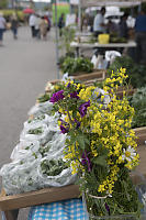 Greens And Flowers