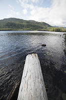 Bleached Log Over Lake Prudhomme