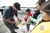 Claira Measuring Male Crab