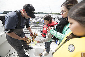 Claira Measuring Male Crab