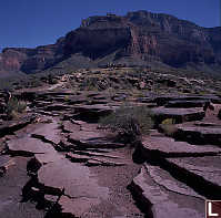 Plateau