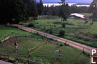 Playing Badminton