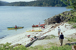 Shell Beach