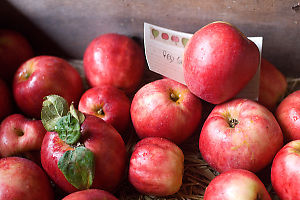 Red Apples In Box