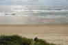 Mark Overlooking Sandy Beach