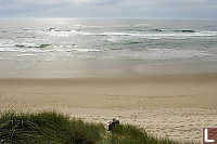 Mark Overlooking Sandy Beach