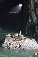 Rock Island In Cave