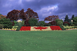 Canadian Flag at Peace Arch