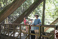 Family On Bridge