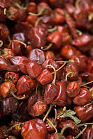 Dried Red Chilli Peppers