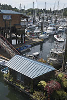 Houseboat With Japanese Maples