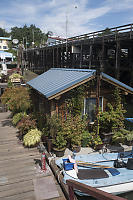 Small Houseboat With Lots Of Plants