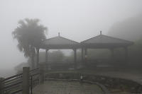 Foggy Mountain Top