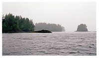 Islands in Clayquot Sound