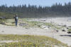 Dad On The Beach