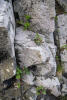 Previous