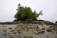 Island Connected By Low Tide