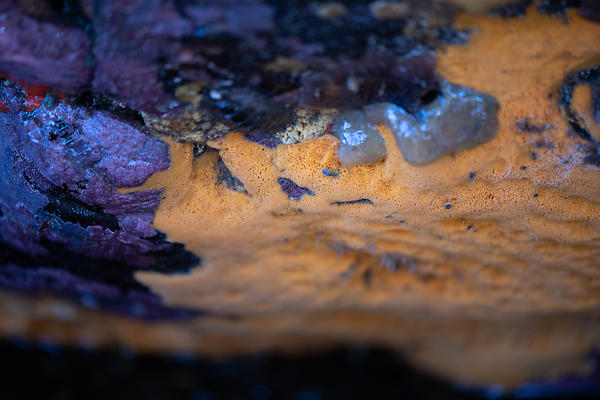 mainimage