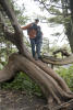 Climbing Trees Runs In Family