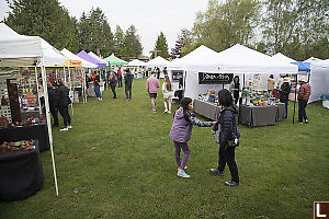 Start At Tofino Market