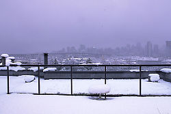 View off David's Deck